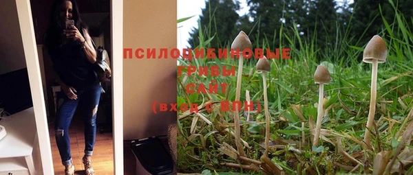 круглые Арсеньев