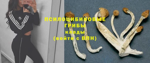 прущий лед Алзамай